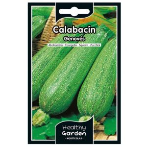 Pacote de Sementes – Abobrinha Genovesa