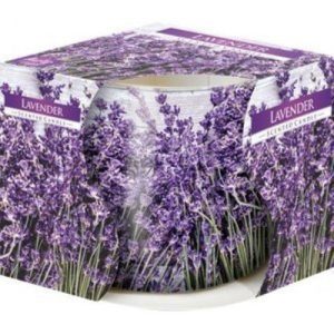 Vela Perfumada em Copo de Vidro – 009 Lavanda